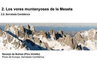 2. Los vores muntanyoses de la Meseta
2.2. Serralada Cantàbrica




Naranjo de Bulnes (Picu Urriellu)
Picos de Europa, Serralada Cantàbrica
 