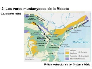 2. Los vores muntanyoses de la Meseta
2.3. Sistema Ibèric




                       Unitats estructurals del Sistema Ibèric
 