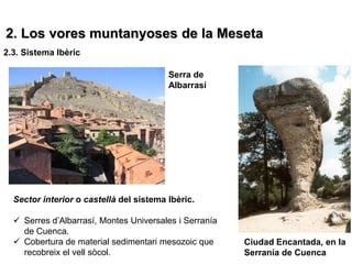 2. Los vores muntanyoses de la Meseta
2.3. Sistema Ibèric

                                         Serra de
                                         Albarrasí




  Sector interior o castellà del sistema Ibèric.

   Serres d’Albarrasí, Montes Universales i Serranía
    de Cuenca.
   Cobertura de material sedimentari mesozoic que      Ciudad Encantada, en la
    recobreix el vell sòcol.                            Serranía de Cuenca
 