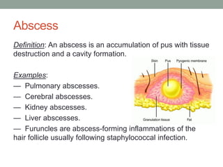 Inflammation Pathomorphology.pdf