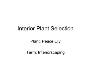 Interior Plant Selection Plant: Peace Lily Term: Interiorscaping 