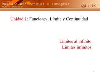 1
Unidad 1: Funciones, Límite y Continuidad
Límites al infinito
Límites infinitos
 