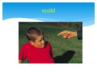 scold
 