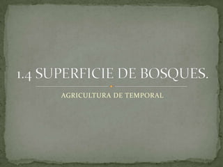 AGRICULTURA DE TEMPORAL 1.4 SUPERFICIE DE BOSQUES. 