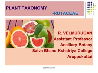 PLANT TAXONOMY
-RUTACEAE
R. VELMURUGAN
Assistant Professor
Ancillary Botany
Saiva Bhanu Kshatriya College
Aruppukottai
BOTRVMSBKCAPK
 