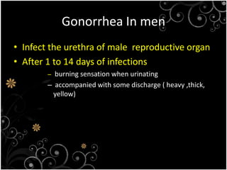 Gonorrhea In menInfect the urethra of male  reproductive organAfter 1 to 14 days of infectionsburning sensation when urinating accompanied with some discharge ( heavy ,thick, yellow)