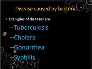 Disease caused by bacteria Examples of diseases areTuberculosisCholera Gonorrhea Syphilis 