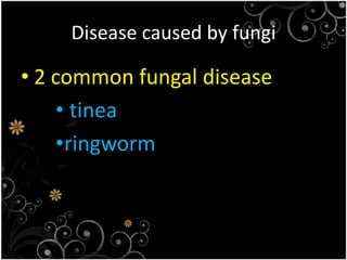 Cirrhosis 