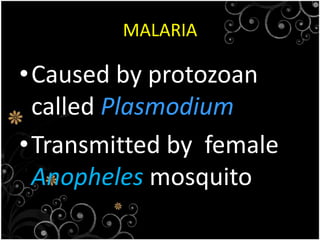 1.4 the harmful effects of microorganism