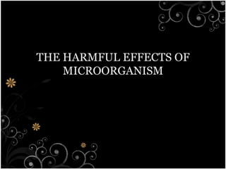 THE HARMFUL EFFECTS OF MICROORGANISM 