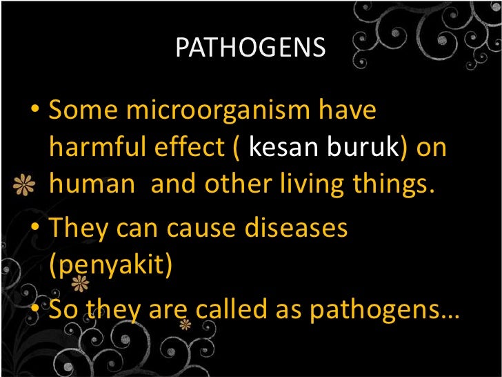 1 4 The Harmful Effects Of Microorganism