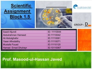 D-:GROUP
Prof. Masood-ul-Hassan Javed
Saadi Aljundi ID: 11110044
Abdulrahman Hameed ID:11110042
Ali Abdulghafor ID:11110061
Yaser Alhodaithy ID:11110071
Mustafa Fouad ID:11110120
Hamad Emad Dhuhayr ID:10110067
Scientific
Assignment
5.1Block
 