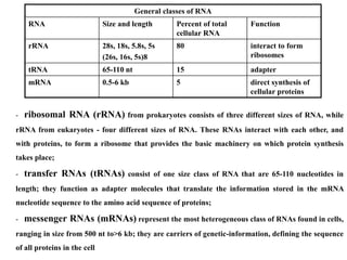 Dna Replication - Biochemistry Lecture | PDF