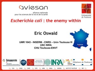 1 Escherichia coli : the enemy within Eric Oswald UMR 1043 - INSERM - CNRS – Univ Toulouse III USC INRA CHU Toulouse-ENVT 