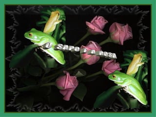 O  SAPO  E  A  ROSA 