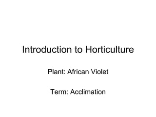 Introduction to Horticulture Plant: African Violet Term: Acclimation 