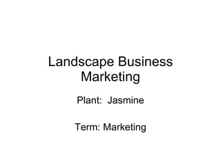 Landscape Business Marketing Plant:  Jasmine Term: Marketing 