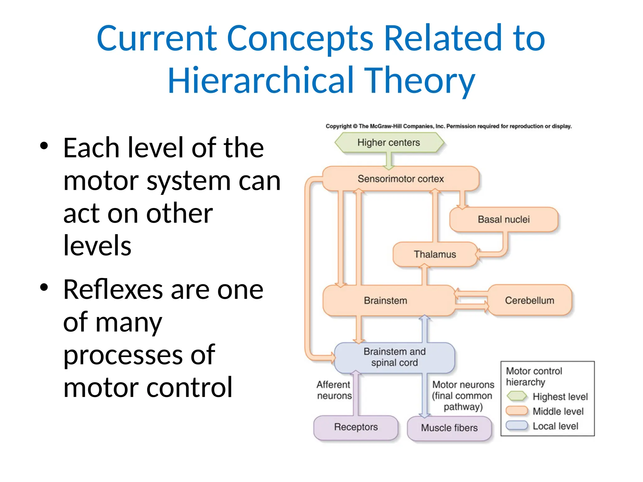 1-5_Motor_Control_Theories_all motor control theories | PPT