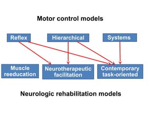 Motor Control Model 1-5_Motor_Control_Theories_all motor control theories | PPT