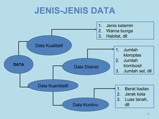 18
JENIS-JENIS DATA
DATA
Data Kualitatif
Data Kuantitatif
Data Diskret
Data Kontinu
1. Jenis kelamin
2. Warna bunga
3. Habitat, dll
1. Jumlah
kloroplas
2. Jumlah
trombosit
3. Jumlah sel, dll
1. Berat badan
2. Jarak kota
3. Luas tanah,
dll
 