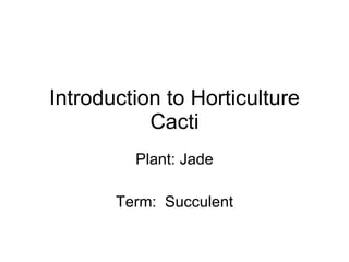 Introduction to Horticulture Cacti Plant: Jade Term:  Succulent 