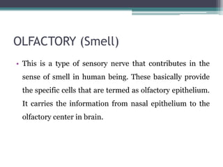 OLFACTORY (Smell)
• This is a type of sensory nerve that contributes in the
sense of smell in human being. These basically provide
the specific cells that are termed as olfactory epithelium.
It carries the information from nasal epithelium to the
olfactory center in brain.
 