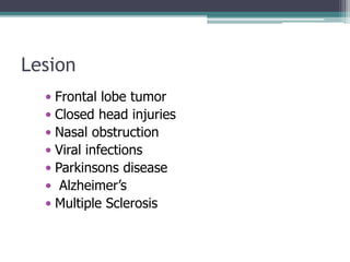 Lesion
• Frontal lobe tumor
• Closed head injuries
• Nasal obstruction
• Viral infections
• Parkinsons disease
• Alzheimer’s
• Multiple Sclerosis
 