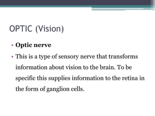 OPTIC (Vision)
• Optic nerve
• This is a type of sensory nerve that transforms
information about vision to the brain. To be
specific this supplies information to the retina in
the form of ganglion cells.
 