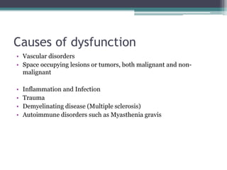 Causes of dysfunction
• Vascular disorders
• Space occupying lesions or tumors, both malignant and non-
malignant
• Inflammation and Infection
• Trauma
• Demyelinating disease (Multiple sclerosis)
• Autoimmune disorders such as Myasthenia gravis
 