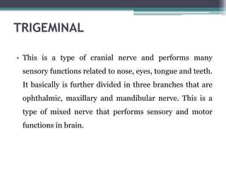 TRIGEMINAL
• This is a type of cranial nerve and performs many
sensory functions related to nose, eyes, tongue and teeth.
It basically is further divided in three branches that are
ophthalmic, maxillary and mandibular nerve. This is a
type of mixed nerve that performs sensory and motor
functions in brain.
 