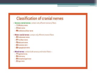 1-6 Cranial Nerves.pptx