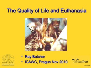 The Quality of Life and EuthanasiaThe Quality of Life and Euthanasia
• Ray ButcherRay Butcher
• ICAWC, Prague Nov 2010ICAWC, Prague Nov 2010
 