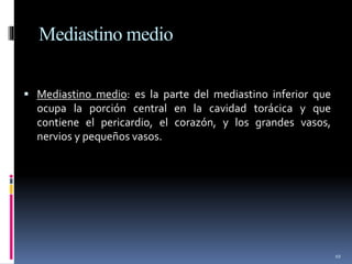 Mediastino medio
 Mediastino medio: es la parte del mediastino inferior que
ocupa la porción central en la cavidad torácica y que
contiene el pericardio, el corazón, y los grandes vasos,
nervios y pequeños vasos.
10
 
