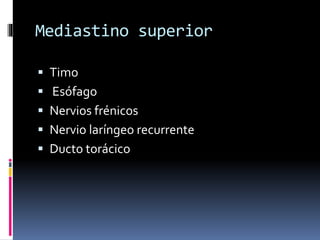 Mediastino superior
 Timo
 Esófago
 Nervios frénicos
 Nervio laríngeo recurrente
 Ducto torácico
 