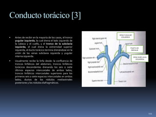 Conducto torácico [3]
 Antes de recibir en la mayoría de los casos, el tronco
yugular izquierda, la cual drena el lado izquierdo de
la cabeza y el cuello, y el tronco de la subclavia
izquierda, el cual drena la extremidad superior
izquierda, el ducto torácico termina drenándose en la
unión de las venas subclavia izquierda y yugular
interna izquierda.
 Usualmente recibe la linfa desde: la confluencia de
troncos linfáticos del abdomen; troncos linfáticos
torácicos descendentes drenando los seis o siete
últimos espacios intercostales de ambos lados;
troncos linfáticos intercostales superiores para los
primeros seis o siete espacios intercostales en ambos
lados; ductos de los nódulos mediastinales
posteriores y los nódulos diafragmáticos.
111
PUNTO DE
DRENAJE
VENA YUGULAR
IZQUIERDA
VENA SUBCLAVIA
IZQUIERDA
 