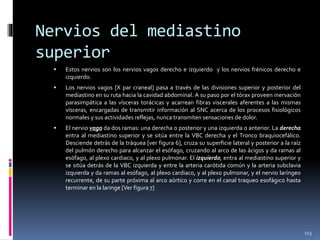 Nervios del mediastino
superior
 Estos nervios son los nervios vagos derecho e izquierdo y los nervios frénicos derecho e
izquierdo.
 Los nervios vagos [X par craneal] pasa a través de las divisiones superior y posterior del
mediastino en su ruta hacia la cavidad abdominal. A su paso por el tórax proveen inervación
parasimpática a las vísceras torácicas y acarrean fibras viscerales aferentes a las mismas
vísceras, encargadas de transmitir información al SNC acerca de los procesos fisiológicos
normales y sus actividades reflejas, nunca transmiten sensaciones de dolor.
 El nervio vago da dos ramas: una derecha o posterior y una izquierda o anterior. La derecha
entra al mediastino superior y se sitúa entre la VBC derecha y el Tronco braquiocefálico.
Desciende detrás de la tráquea [ver figura 6], cruza su superficie lateral y posterior a la raíz
del pulmón derecho para alcanzar el esófago, cruzando al arco de las ácigos y da ramas al
esófago, al plexo cardiaco, y al plexo pulmonar. El izquierdo, entra al mediastino superior y
se sitúa detrás de la VBC izquierda y entre la arteria carótida común y la arteria subclavia
izquierda y da ramas al esófago, al plexo cardiaco, y al plexo pulmonar, y el nervio laríngeo
recurrente, de su parte próxima al arco aórtico y corre en el canal traqueo esofágico hasta
terminar en la laringe [Ver figura 7]
113
 