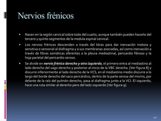 Nervios frénicos
 Nacen en la región cervical sobre todo del cuarto, aunque también pueden hacerlo del
tercero y quinto segmentos de la medula espinal cervical.
 Los nervios frénicos descienden a través del tórax para dar inervación motora y
sensitiva o sensorial al diafragma y a sus membranas asociadas, así como inervación a
través de fibras somáticas aferentes a la pleura mediastinal, pericardio fibroso y la
hoja parietal del pericardio seroso.
 Se divide en nervio frénico derecho y otro izquierdo, el primero entra al mediastino al
lado derecho del vago derecho y posterior al inicio de la VBC derecha. [Ver figura 8] y
discurre inferiormente al lado derecho de la VCS, en el mediastino medio discurre a lo
largo del borde derecho del saco pericárdico, dentro de la parte serosa del mismo, por
delante de la raíz del pulmón derecho, pasa al diafragma junto a la VCI. El izquierdo,
hace una ruta similar al derecho pero del lado izquierdo [Ver figura 9]
117
 