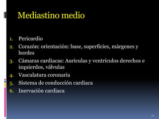Mediastino medio
1. Pericardio
2. Corazón: orientación: base, superficies, márgenes y
bordes
3. Cámaras cardiacas: Aurículas y ventrículos derechos e
izquierdos, válvulas
4. Vasculatura coronaria
5. Sistema de conducción cardiaca
6. Inervación cardiaca
12
 