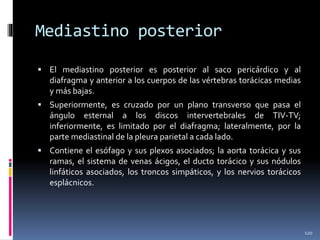 Mediastino posterior
 El mediastino posterior es posterior al saco pericárdico y al
diafragma y anterior a los cuerpos de las vértebras torácicas medias
y más bajas.
 Superiormente, es cruzado por un plano transverso que pasa el
ángulo esternal a los discos intervertebrales de TIV-TV;
inferiormente, es limitado por el diafragma; lateralmente, por la
parte mediastinal de la pleura parietal a cada lado.
 Contiene el esófago y sus plexos asociados; la aorta torácica y sus
ramas, el sistema de venas ácigos, el ducto torácico y sus nódulos
linfáticos asociados, los troncos simpáticos, y los nervios torácicos
esplácnicos.
120
 