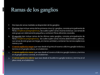 Ramas de los ganglios
 Dos tipos de ramas mediales se desprenden de los ganglios:
a. El primer tipo incluye ramos de los primeros cinco (5) ganglios; consiste principalmente de
fibras simpáticas postganglionicas, las cuales suplen varias vísceras torácicas. Las ramas de
este grupo son relativamente pequeñas y contienen fibras aferentes viscerales.
b. El segundo tipo incluye ramos de los últimos siete ganglios; consiste principalmente de
fibras simpáticas preganglionicas, las cuales suplen varias vísceras abdominales y pélvicas.
Las ramas de este grupo son largas, en menos cantidad y contienen los nervios esplácnicos
menos y son:
1. El nervio esplácnico mayor que nace desde el quinto al noveno o décimo ganglio torácico y
termina en el ganglio celiaco, en el abdomen.
2. El nervio esplácnico menor que nace desde el noveno al décimo ganglio torácico y termina
en el ganglio aórtico-coronal, en el abdomen.
3. El nervio esplácnico inferior que nace desde el duodécimo ganglio torácico y termina en el
plexo renal, en el abdomen.
128
 