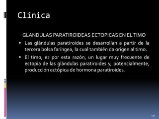 Clínica
GLANDULAS PARATIROIDEAS ECTOPICAS EN ELTIMO
 Las glándulas paratiroides se desarrollan a partir de la
tercera bolsa faríngea, la cual también da origen al timo.
 El timo, es por esta razón, un lugar muy frecuente de
ectopia de las glándulas paratiroides y, potencialmente,
producción ectópica de hormona paratiroides.
130
 