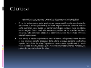 Clínica
NERVIOSVAGOS, NERVIO LARINGEO RECURRENTEY RONQUERA
 El nervio laríngeo recurrente izquierdo es una rama del nervio vago izquierdo.
Pasa entre la arteria pulmonar y la aorta, región conocida como la ventana
aorta-pulmonar, y que puede ser comprometida por cualquier masa patológica
en esa región. Como resultado tendremos parálisis de las cuerdas vocales y
ronquera. Otra condición asociada a este hallazgo son los nódulos linfáticos
afectados por cáncer.
 Más arriba, el nervio vago derecho emite el nervio laríngeo recurrente derecho
el cual emite un gancho alrededor de la arteria subclavia derecha en el sulcus
superior del pulmón derecho, En pacientes con voz ronca y parálisis de la cuerda
vocal del lado derecho, la radiografía muestra el llamado tumor de Pancoast, un
cáncer del ápex del pulmón derecho.
132
 
