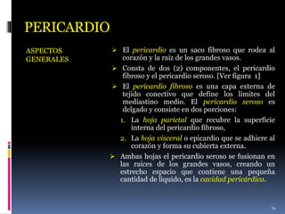 PERICARDIO
ASPECTOS
GENERALES
 El pericardio es un saco fibroso que rodea al
corazón y la raíz de los grandes vasos.
 Consta de dos (2) componentes, el pericardio
fibroso y el pericardio seroso. [Ver figura 1]
 El pericardio fibroso es una capa externa de
tejido conectivo que define los limites del
mediastino medio. El pericardio seroso es
delgado y consiste en dos porciones:
1. La hoja parietal que recubre la superficie
interna del pericardio fibroso,
2. La hoja visceral o epicardio que se adhiere al
corazón y forma su cubierta externa.
 Ambas hojas el pericardio seroso se fusionan en
las raíces de los grandes vasos, creando un
estrecho espacio que contiene una pequeña
cantidad de liquido, es la cavidad pericárdica.
14
 