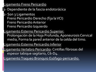 Ligamento Freno Pericardio
1- Dependiente de la fascia endotorácica
2- Son 3 Ligamentos
Freno Pericardio Derecho (fija laVCI)
Freno Pericardio Anterior
Freno Pericardio Izquierdo
Ligamento Esterno Pericardio Superior:
Prolongación de la Hoja Profunda, Aponeurosis Cervical
media, Forma la pared anterior de la celda del timo.
Ligamento Esterno Pericardio Inferior
LigamentoVertebro Pericardio: Cintillas fibrosas del
espesor tabique sagitario, C6-D4.
LigamentoTraqueo Bronquio Esófago-pericardio.
 