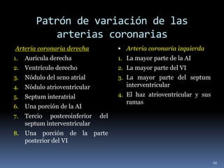Patrón de variación de las
arterias coronarias
Arteria coronaria derecha
1. Aurícula derecha
2. Ventrículo derecho
3. Nódulo del seno atrial
4. Nódulo atrioventricular
5. Septum interatrial
6. Una porción de la AI
7. Tercio posteroinferior del
septum interventricular
8. Una porción de la parte
posterior del VI
 Arteria coronaria izquierda
1. La mayor parte de la AI
2. La mayor parte del VI
3. La mayor parte del septum
interventricular
4. El haz atrioventricular y sus
ramas
66
 