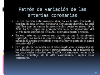 Patrón de variación de las
arterias coronarias
 La distribución anteriormente descrita es la más frecuente y
consiste de una arteria coronaria dominante derecha. Lo cual
significa que las ramas interventricular posterior nacen de la
ACD. La ACD suple una gran porción de la pared posterior del
VI y la rama circunfleja de la ADI es relativamente pequeña.
 En contraste, en corazones con arteria coronaria dominante
izquierda, las ramas interventricular posterior nacen de una
agrandada arteria circunfleja y suple la mayor parte de la pared
posterior del VI.
 Otro punto de variación es el relacionado con la irrigación de
los nódulos del seno atrial y atrioventricular, en la mayoría de
los casos están irrigados por la ACD, sin embrago, ramas de la
arteria circunfleja, de la ACI ocasionalmente suplen estas
estructuras.
67
 