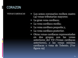 CORAZON
VENAS CARDIACAS  Los senos coronarios reciben cuatro
(4) venas tributarias mayores:
 La gran vena cardiaca;
 La vena cardiaca media;
 La vena cardiaca pequeña y,
 La vena cardiaca posterior.
 Otras venas cardiacas representadas
en dos grupos son las venas
anteriores del VD (Venas cardiacas
anteriores), y las venas mínima
cardiacas o vena de Tebesio. [Ver
figura 19]
69
 