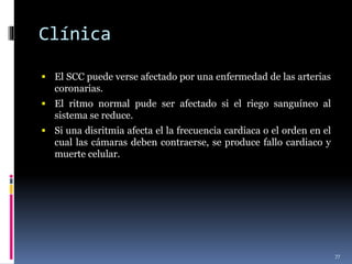 Clínica
 El SCC puede verse afectado por una enfermedad de las arterias
coronarias.
 El ritmo normal pude ser afectado si el riego sanguíneo al
sistema se reduce.
 Si una disritmia afecta el la frecuencia cardiaca o el orden en el
cual las cámaras deben contraerse, se produce fallo cardiaco y
muerte celular.
77
 