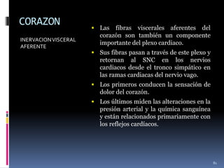 CORAZON
INERVACIONVISCERAL
AFERENTE
 Las fibras viscerales aferentes del
corazón son también un componente
importante del plexo cardiaco.
 Sus fibras pasan a través de este plexo y
retornan al SNC en los nervios
cardiacos desde el tronco simpático en
las ramas cardiacas del nervio vago.
 Los primeros conducen la sensación de
dolor del corazón.
 Los últimos miden las alteraciones en la
presión arterial y la química sanguínea
y están relacionados primariamente con
los reflejos cardíacos.
81
 