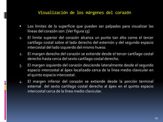 Visualización de los márgenes del corazón
 Los limites de la superficie que pueden ser palpados para visualizar las
líneas del corazón son: [Ver figura 13]
1. El limite superior del corazón alcanza un punto tan alto como el tercer
cartílago costal sobre el lado derecho del esternón y del segundo espacio
intercostal del lado izquierdo del mismo hueso.
2. El margen derecho del corazón se extiende desde el tercer cartílago costal
derecho hasta cerca del sexto cartílago costal derecho.
3. El margen izquierdo del corazón desciende lateralmente desde el segundo
espacio intercostal al ápex localizado cerca de la línea medio clavicular en
el quinto espacio intercostal.
4. El margen inferior del corazón se extiende desde la porción terminal
esternal del sexto cartílago costal derecho al ápex en el quinto espacio
intercostal cerca de la línea medio clavicular.
86
 